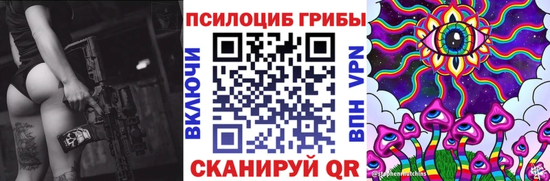 купить наркотики сайты  Галич  Псилоцибиновые грибы мицелий 
